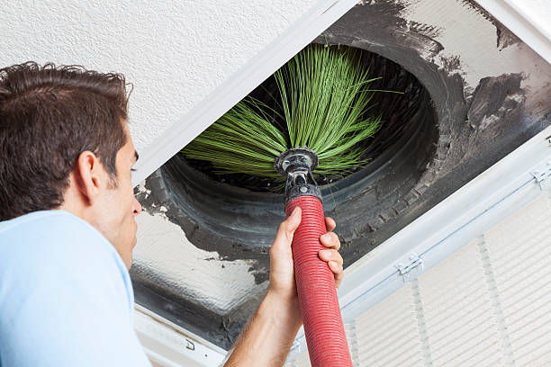 Best Affordable Air Duct Cleaning  in Cleary, MS